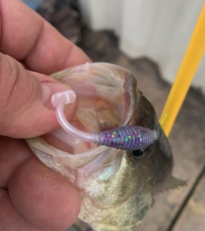 Crappie Hammer Electric Purple Shad